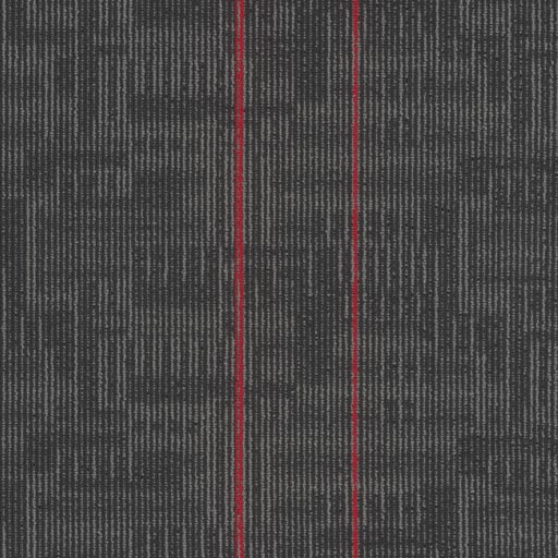Echo 7055T
