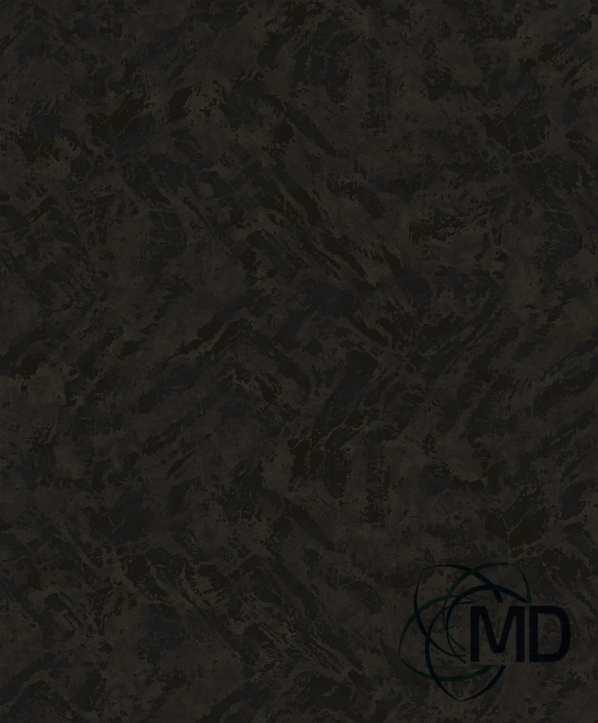 FO50101
