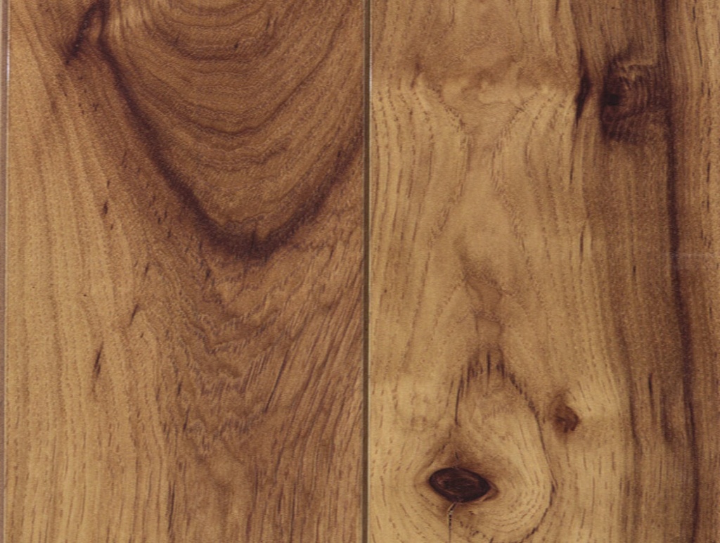 MONTECARLO ACACIA