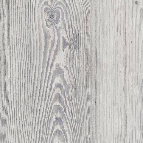 SILVER KIEFER SPLASH