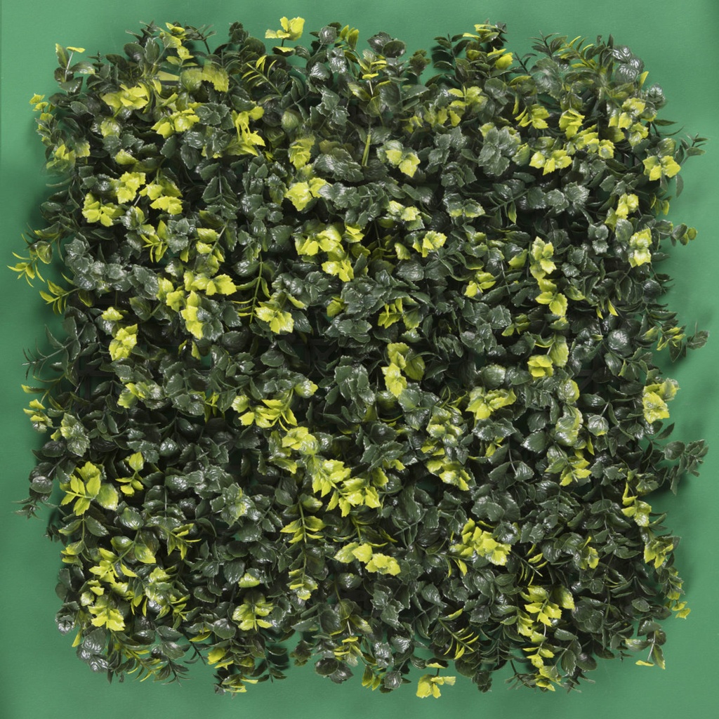 MENTA