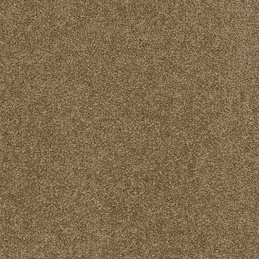 Terrain Broadloom 3050B
