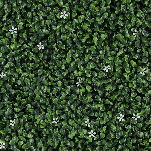 Jasmine