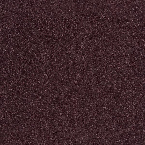 SUPREME DARK PURPLE