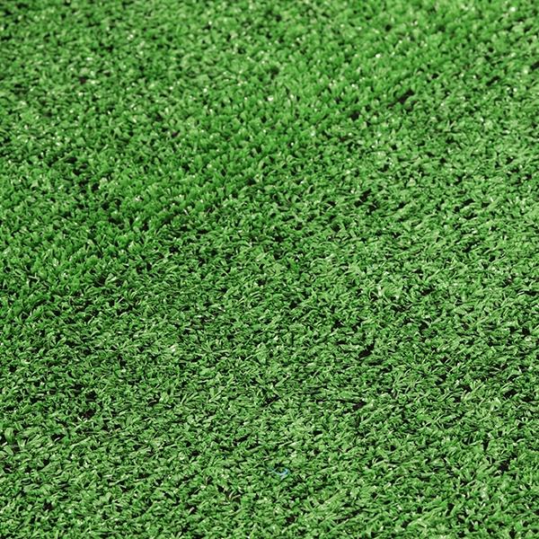 PASTO PARROT GREEN