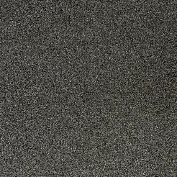 INVASOR COAL