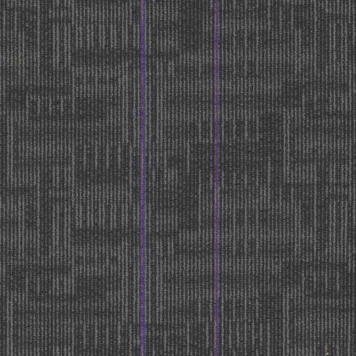 [7055T] Echo 7055T