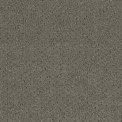 [3051B] Domain Broadloom 3051B