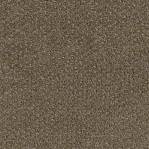 [3051B] Domain Broadloom 3051B