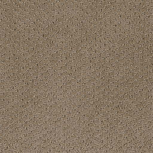 [3051B] Domain Broadloom 3051B