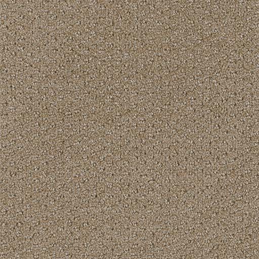 [3051B] Domain Broadloom 3051B
