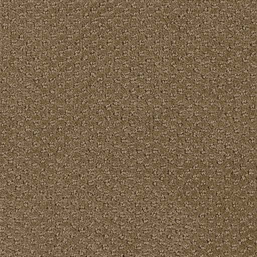 [3051B] Domain Broadloom 3051B
