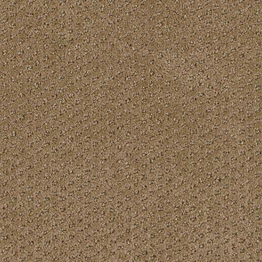 [3051B] Domain Broadloom 3051B