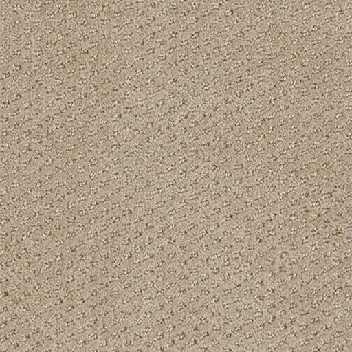 [3051B] Domain Broadloom 3051B