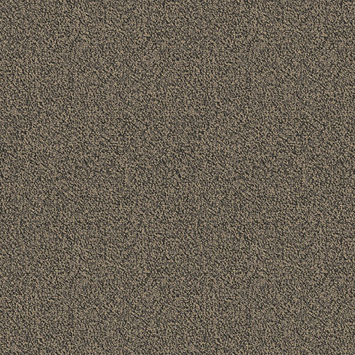 [7233T] Chivalry 7233T