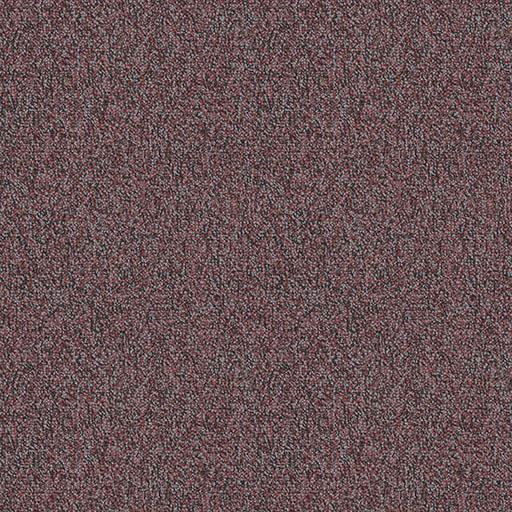 [7233T] Chivalry 7233T