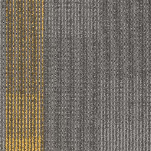 [7053P] Amplify Plank 7053P