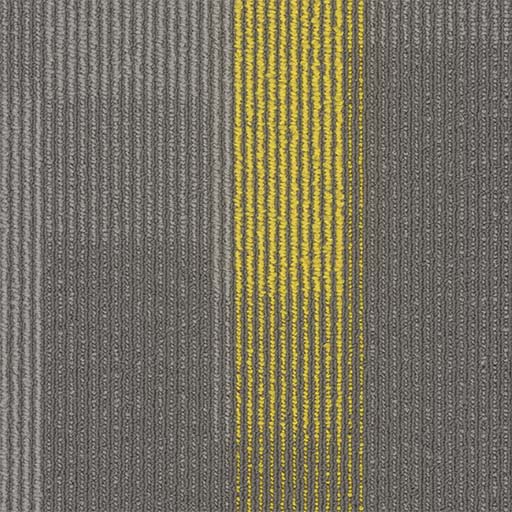 [7053P] Amplify Plank 7053P