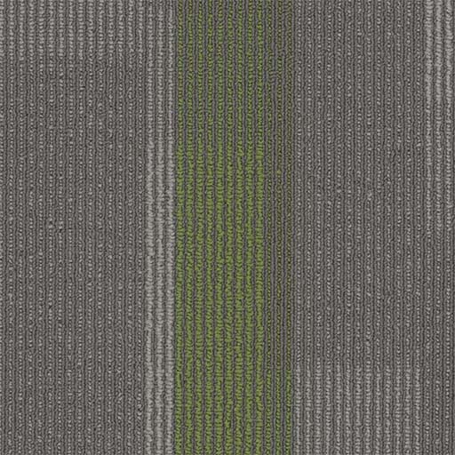 [7053P] Amplify Plank 7053P
