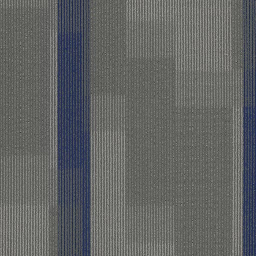 [7053T] Amplify 7053T