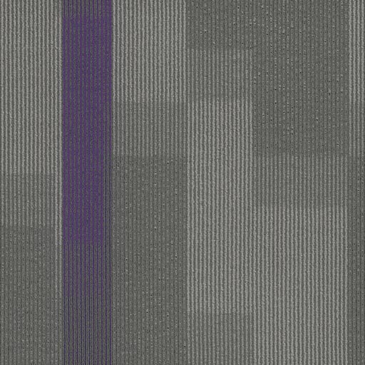 [7053T] Amplify 7053T