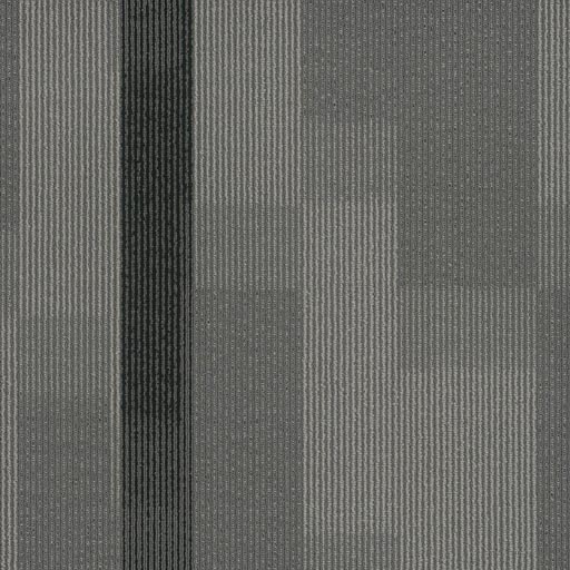 [7053T] Amplify 7053T