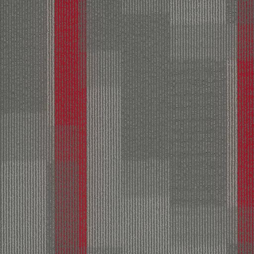 [7053T] Amplify 7053T
