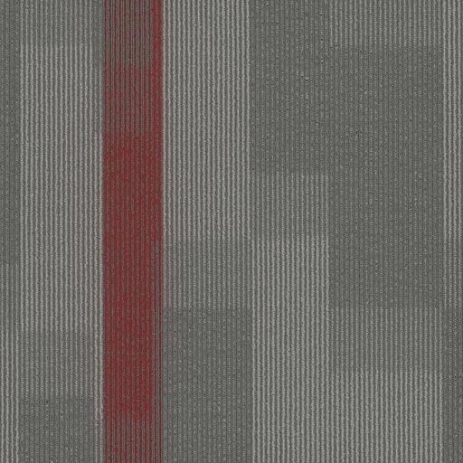 [7053T] Amplify 7053T
