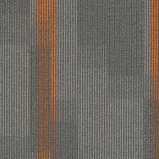 [7053T] Amplify 7053T
