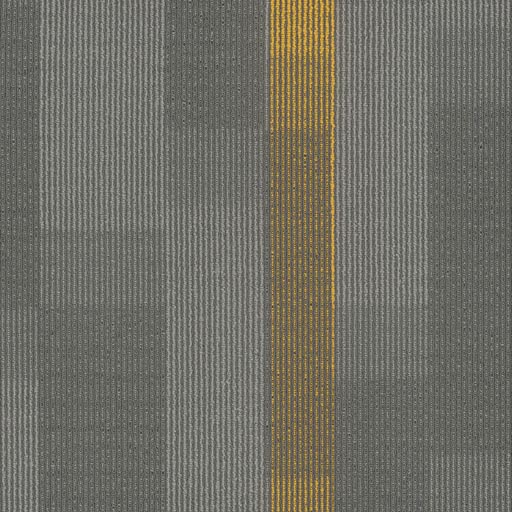 [7053T] Amplify 7053T