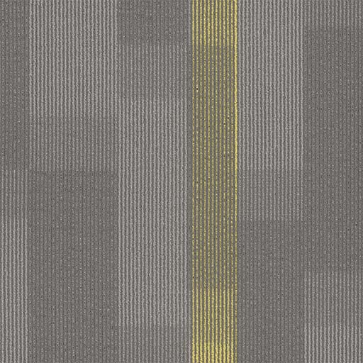 [7053T] Amplify 7053T