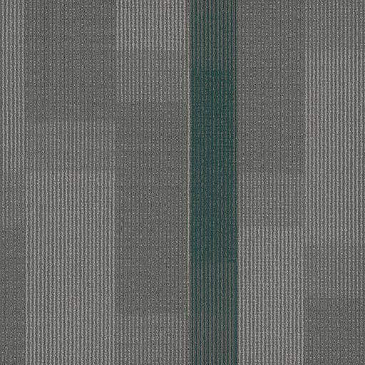 [7053T] Amplify 7053T