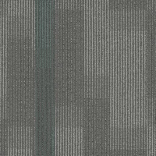 [7053T] Amplify 7053T