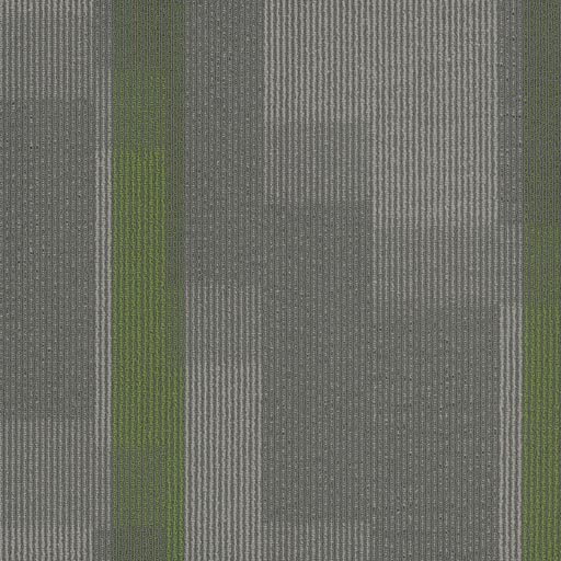 [7053T] Amplify 7053T