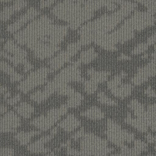[7915T] Abstract 7915T