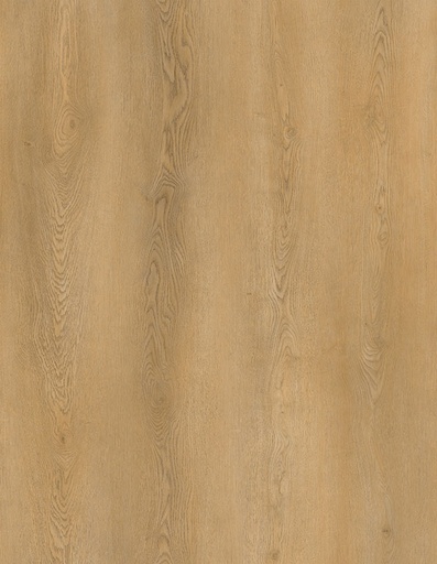 [TS-SPC6.5-A0224] JASPER