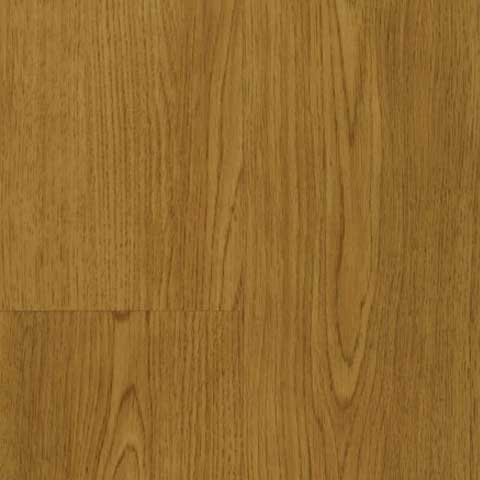 [TSV2A-L229A-SA] ROBLE