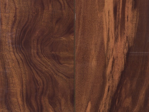 [TS4M10-10361] NORDIC WALNUT