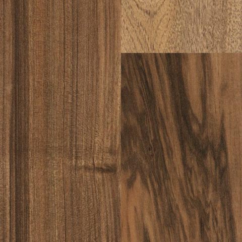 [TS4PS7-7503] AUSTRALIAN WALNUT