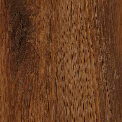 [TS4PS7-4898] GOLDEN OAK