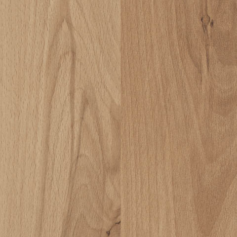 [TS4SP8-2535] MOUNTAIN BEECH SPLASH