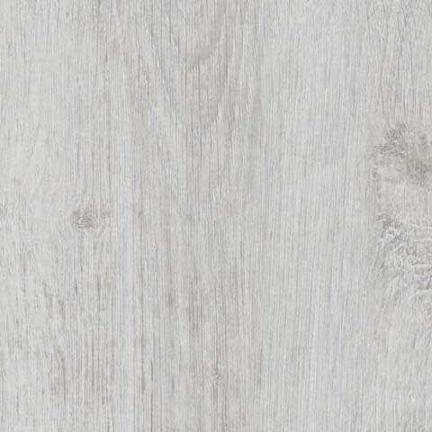 [TS4SP8-4011] ARCTIC OAK SPLASH