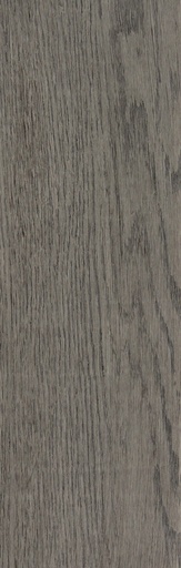 [TMLM10-GONO] GRAVEL