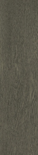 [TMVI12-GONV] GRAY OAK