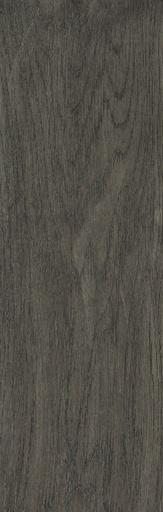 [TMLO10-AONV] ANTHRACITE OAK