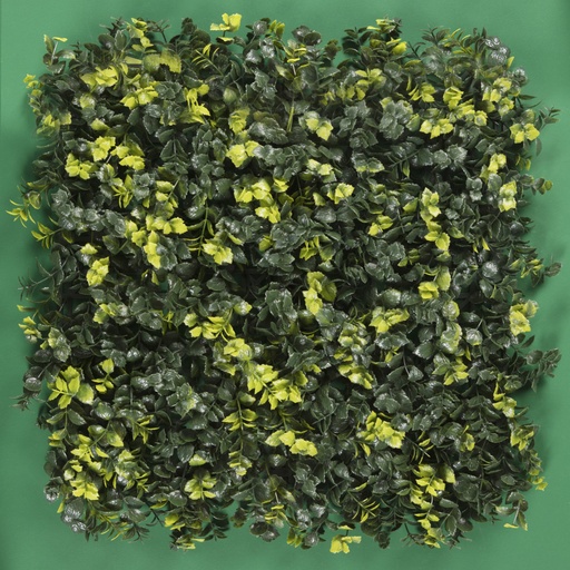 [SG-FSA019] MENTA