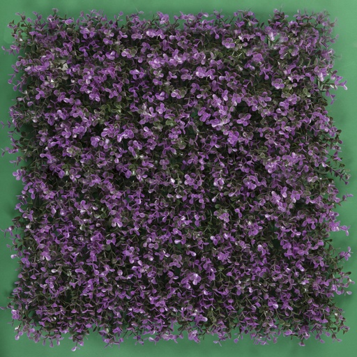 [SG-FSA006-P] ARRAYAN MORADO