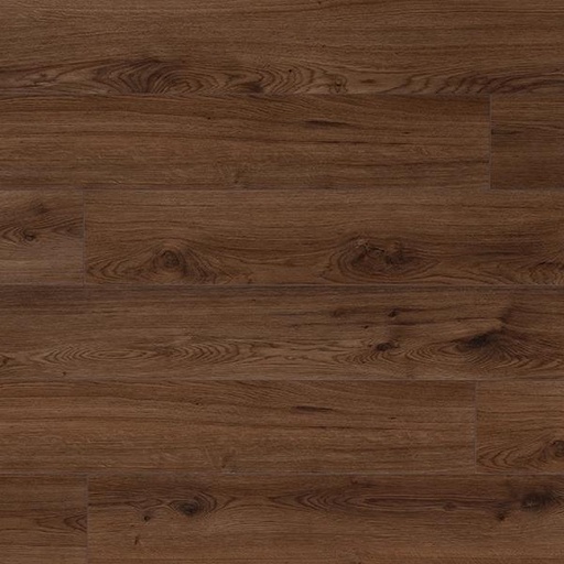 [T04-10708-03531] Trend BROWN