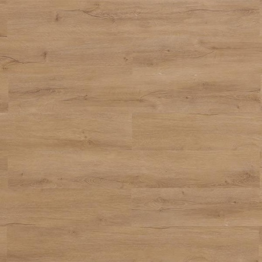 [T15-SPC02-60201] VIGO MOCCA