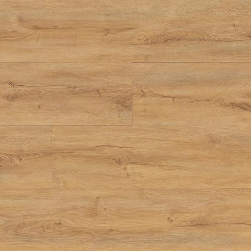 [T15-SPC01-38842] BILBAO CHAMPAGNE